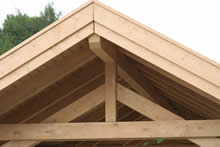 Bertsch Holzbau-Apex roof Carport 3052S Pic 3