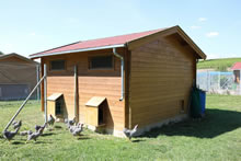 Bertsch Holzbau-Chicken Farm Cabin 400x400 Pic 2