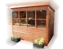 TGB-Sunflower Potting Shed Pic 1