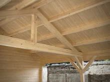 Bertsch Holzbau-Garage 600x600 with Carport 600x600 Pic 5